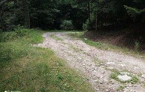 JOURNEE 7